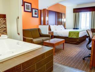 Room #49033909 at Comfort Suites Stevensville - St. Joseph
