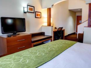 Room #49033910 at Comfort Suites Stevensville - St. Joseph