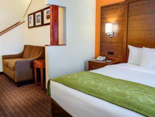 Room #49033910 at Comfort Suites Stevensville - St. Joseph