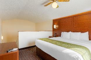 Room #49033910 at Comfort Suites Stevensville - St. Joseph