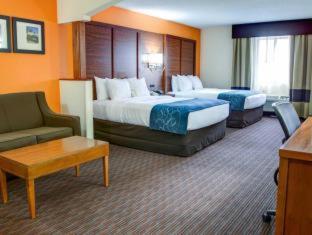 Room #49033911 at Comfort Suites Stevensville - St. Joseph