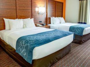 Room #49033911 at Comfort Suites Stevensville - St. Joseph