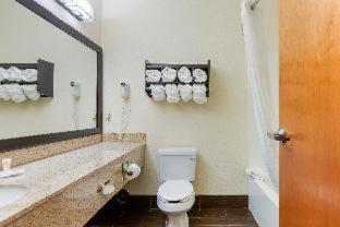 Room #49033911 at Comfort Suites Stevensville - St. Joseph
