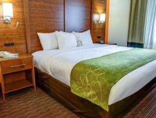 Room #49033912 at Comfort Suites Stevensville - St. Joseph