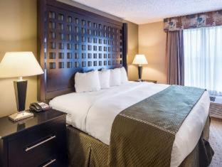 Room #49188306 at Quality Suites Sherman