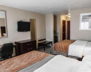 Room #48998206 at Comfort Inn & Suites Muncie Near University