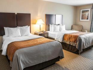 Room #48998206 at Comfort Inn & Suites Muncie Near University
