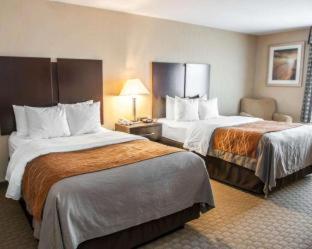 Room #48998207 at Comfort Inn & Suites Muncie Near University