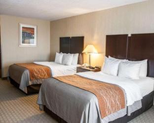 Room #48998207 at Comfort Inn & Suites Muncie Near University