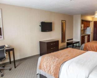 Room #48998207 at Comfort Inn & Suites Muncie Near University
