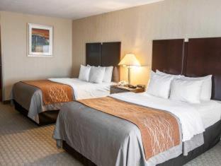 Room #48998207 at Comfort Inn & Suites Muncie Near University