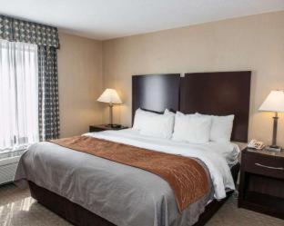 Room #48998208 at Comfort Inn & Suites Muncie Near University