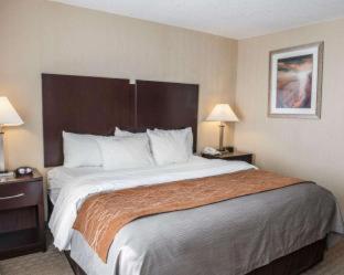 Room #48998208 at Comfort Inn & Suites Muncie Near University