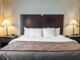 Room #48998208 at Comfort Inn & Suites Muncie Near University