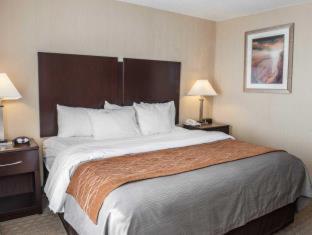 Room #48998208 at Comfort Inn & Suites Muncie Near University
