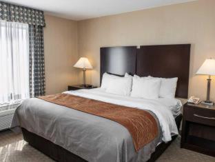 Room #48998208 at Comfort Inn & Suites Muncie Near University