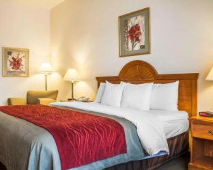 Room #48897810 at Comfort Inn & Suites Yuma I-8
