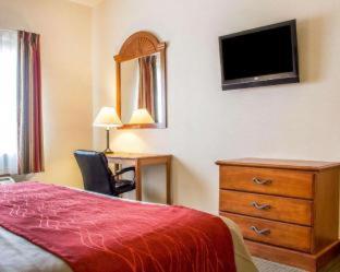 Room #48897810 at Comfort Inn & Suites Yuma I-8