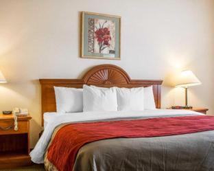 Room #48897810 at Comfort Inn & Suites Yuma I-8