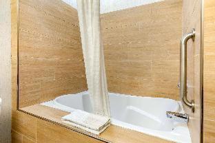Room #5669614 at Comfort Suites Southgate-Detroit