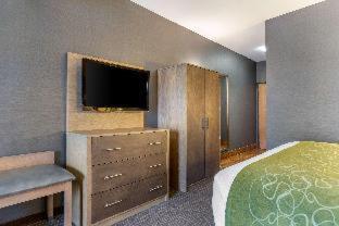 Room #5669614 at Comfort Suites Southgate-Detroit