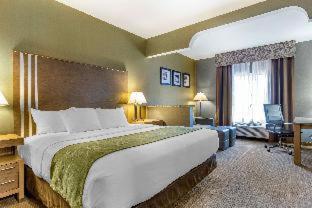 Room #5669614 at Comfort Suites Southgate-Detroit