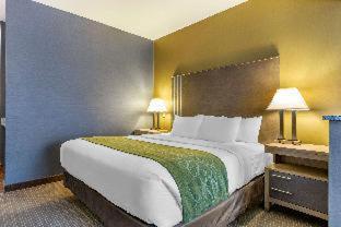 Room #5669614 at Comfort Suites Southgate-Detroit
