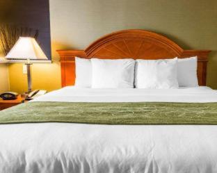 Room #5669614 at Comfort Suites Southgate-Detroit