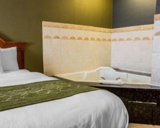Room #5669614 at Comfort Suites Southgate-Detroit
