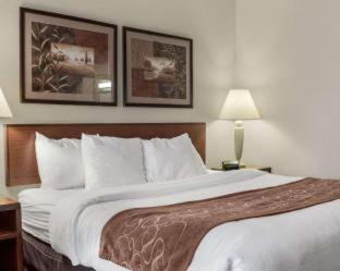 Room #62216707 at Comfort Inn Bismarck