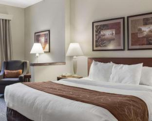 Room #62216707 at Comfort Inn Bismarck
