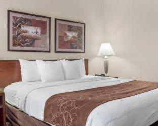 Room #62216707 at Comfort Inn Bismarck