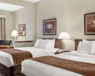 Room #62216708 at Comfort Inn Bismarck