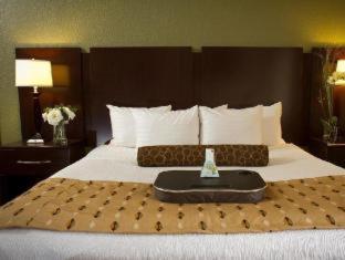 Room #28863611 at Best Western Plus Antioch Hotel & Suites