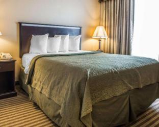 Room #49137213 at Quality Inn & Suites Indiana South