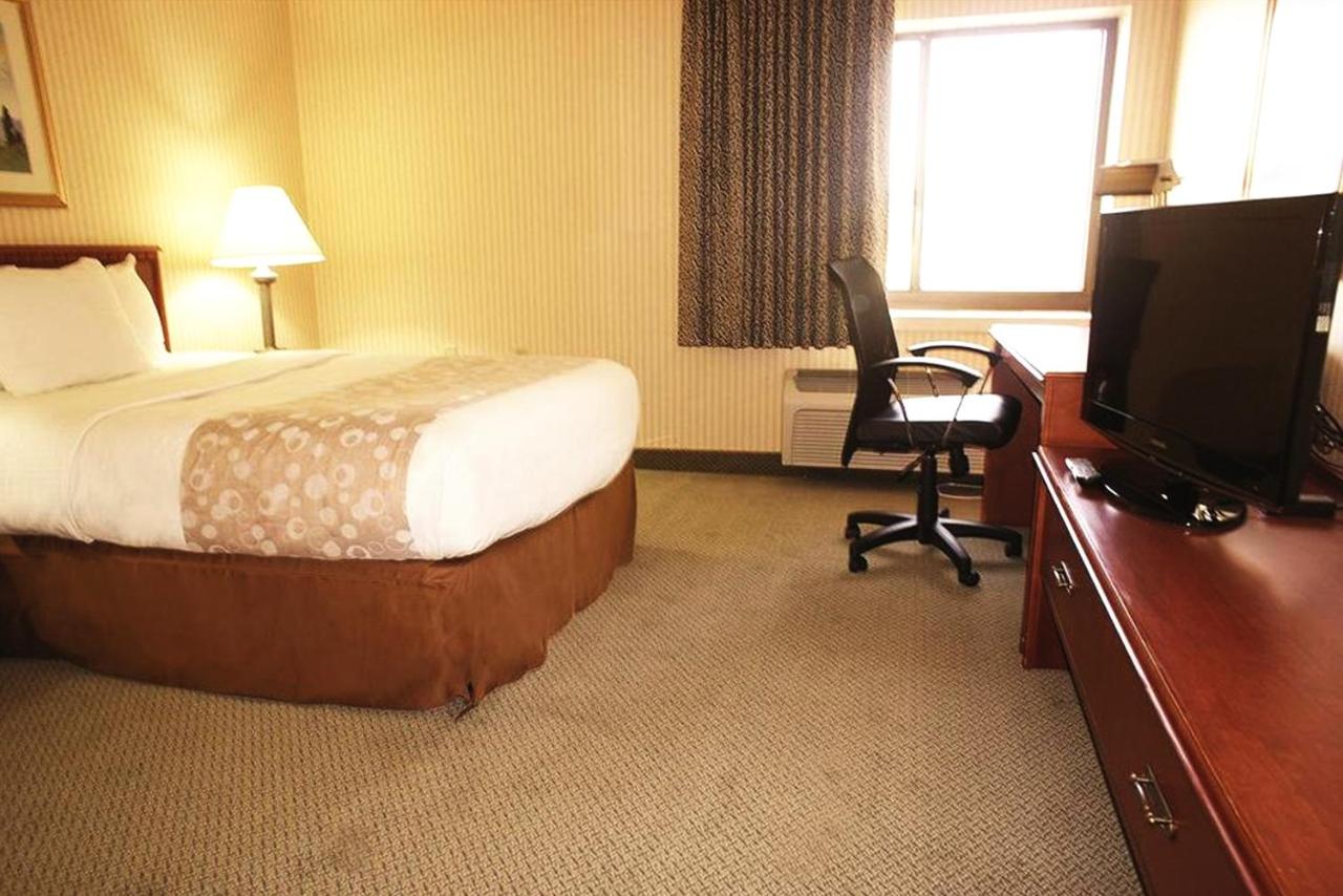 Double Room - Disability Access at La Quinta Inn by Wyndham Detroit Southgate