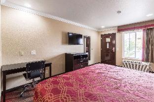 Room #40372215 at Econo Lodge Inn & Suites Escondido Downtown
