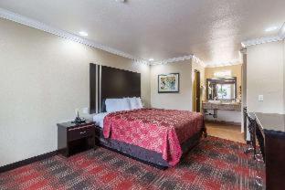 Room #40372215 at Econo Lodge Inn & Suites Escondido Downtown