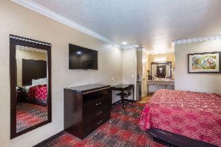 Room #40372216 at Econo Lodge Inn & Suites Escondido Downtown