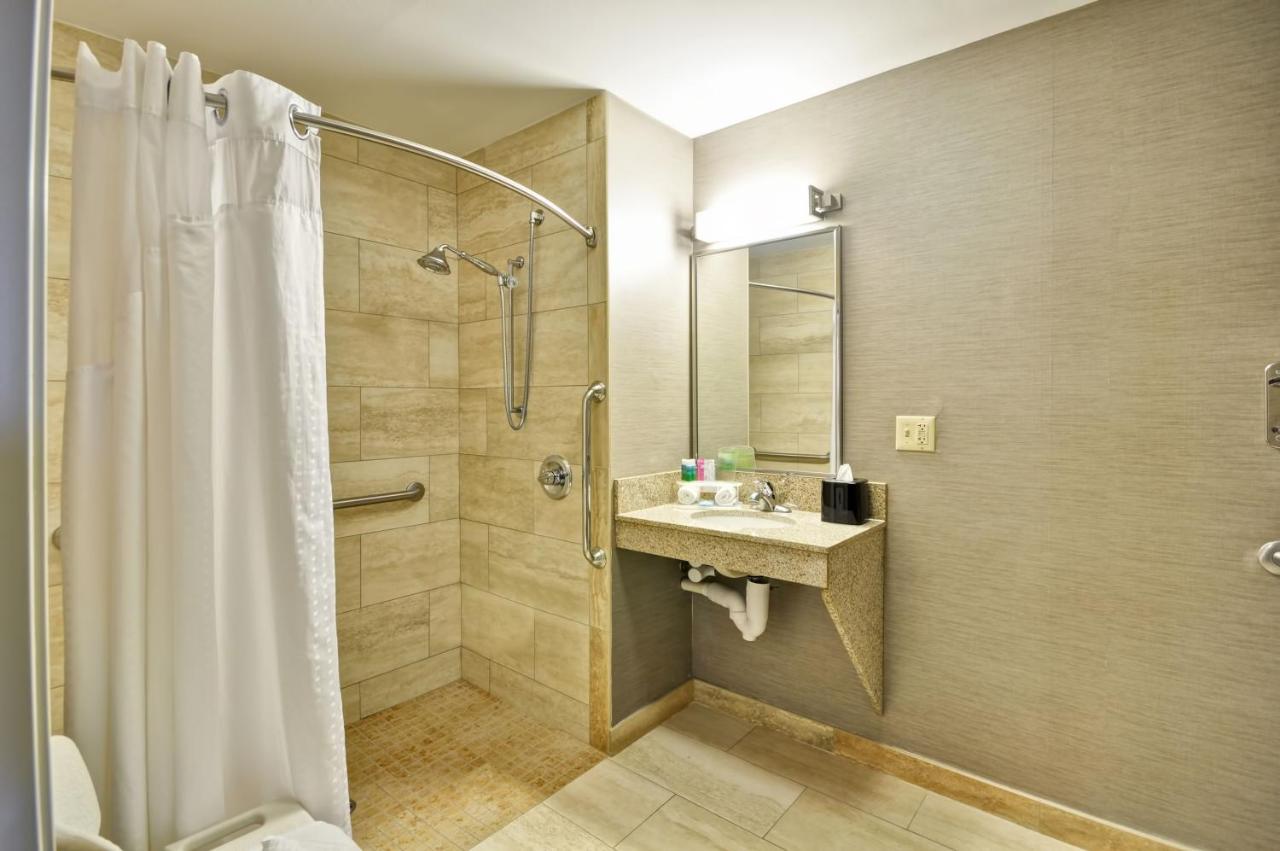King Room - Mobility Access/Roll in Shower - Non-Smoking at Holiday Inn Express Romulus / Detroit Airport by IHG