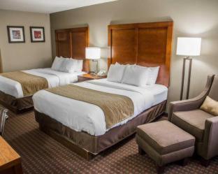Room #48977008 at Comfort Inn & Suites Riverview near Davenport and I-80