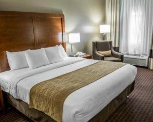 Room #48977011 at Comfort Inn & Suites Riverview near Davenport and I-80