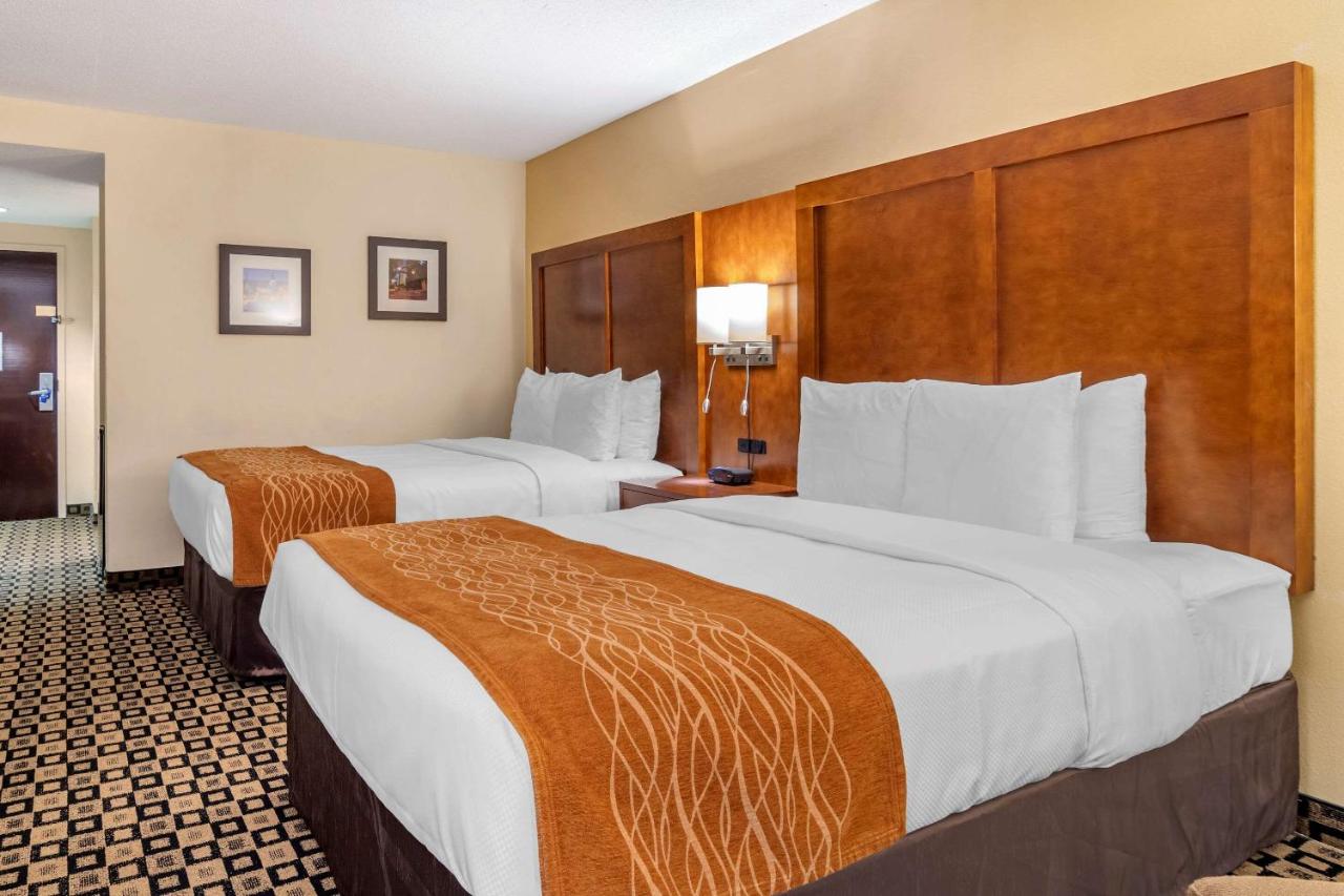 Queen Room with Two Queen Beds - Non-Smoking at Comfort Inn & Suites Athens North