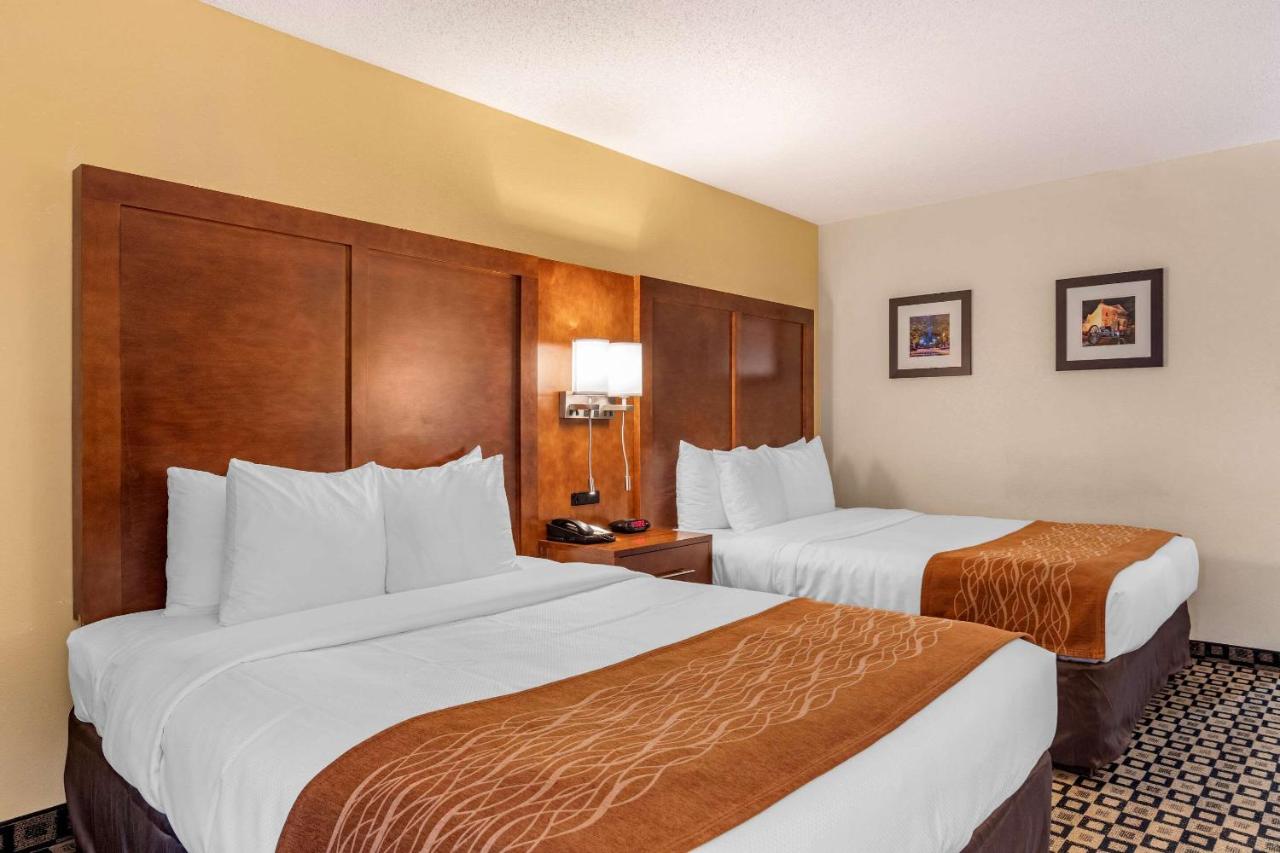 Queen Room with Two Queen Beds - Non-Smoking at Comfort Inn & Suites Athens North