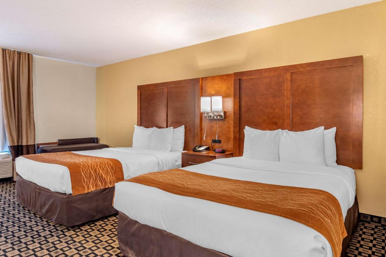 Queen Room with Two Queen Beds - Non-Smoking at Comfort Inn & Suites Athens North