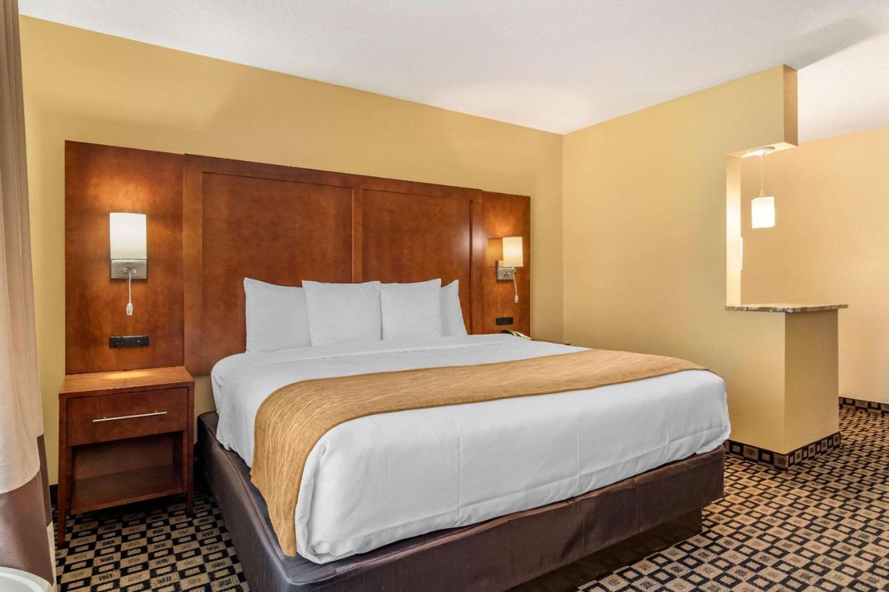 King Suite - Non-Smoking at Comfort Inn & Suites Athens North