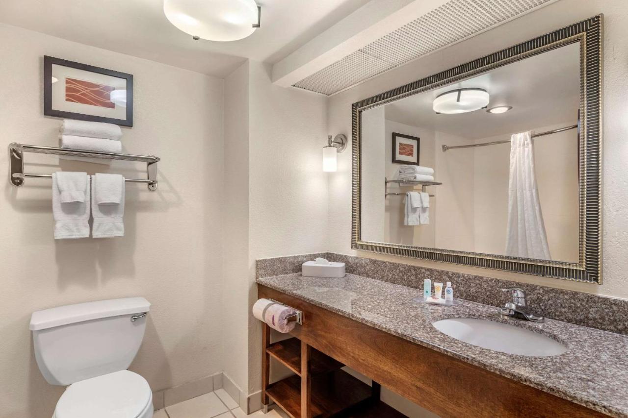 King Room - Non-Smoking at Comfort Inn & Suites Athens North