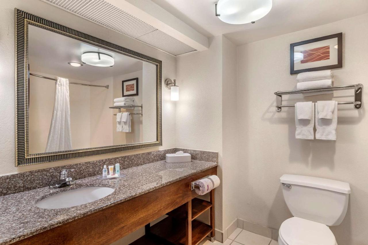 King Suite - Non-Smoking at Comfort Inn & Suites Athens North