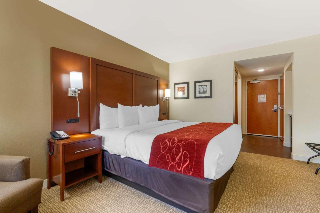 Standard King Room - Non-Smoking at Comfort Inn & Suites Macon West