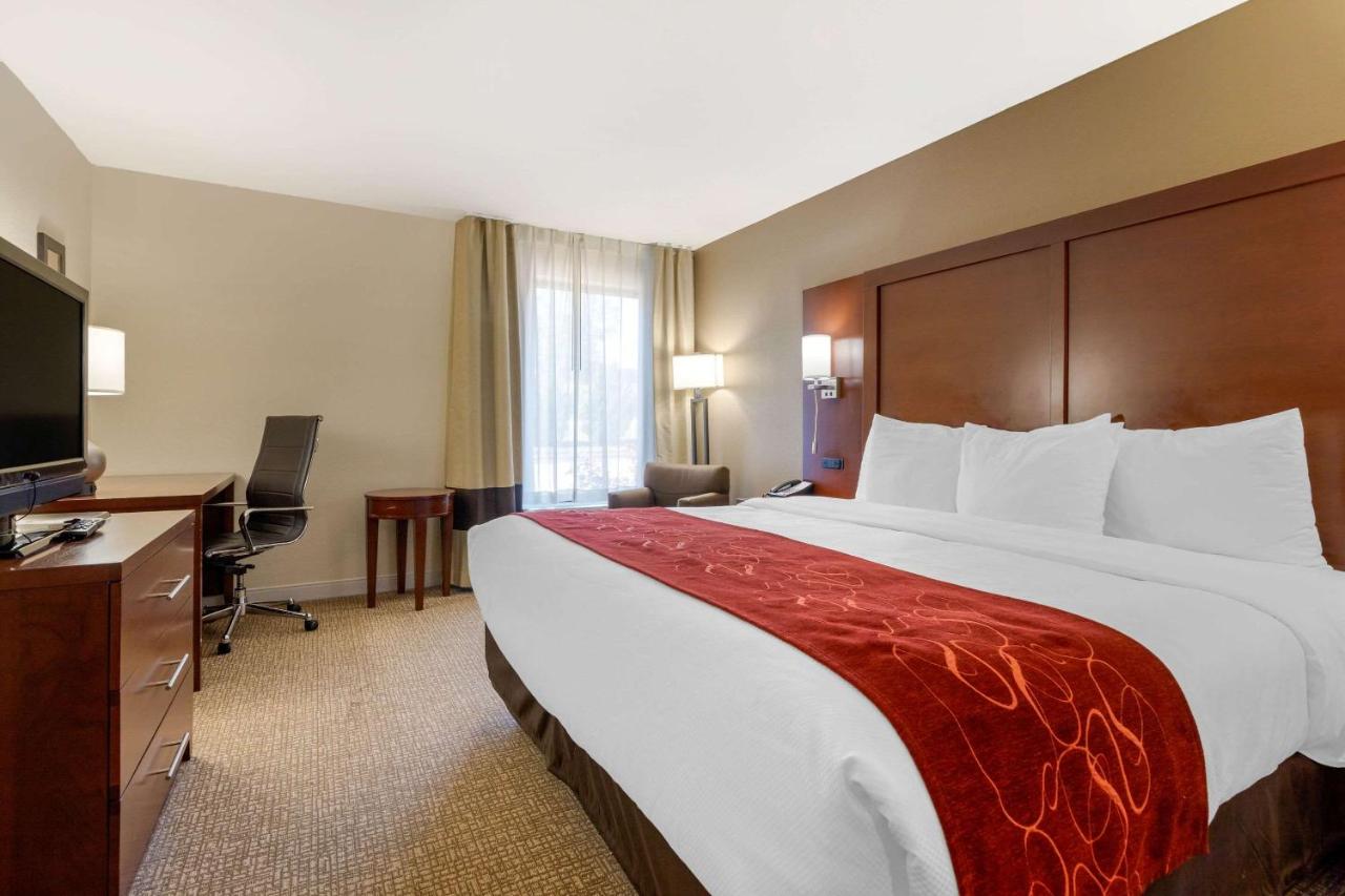 Standard King Room - Non-Smoking at Comfort Inn & Suites Macon West